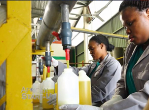 nelly shezi _isolezwe